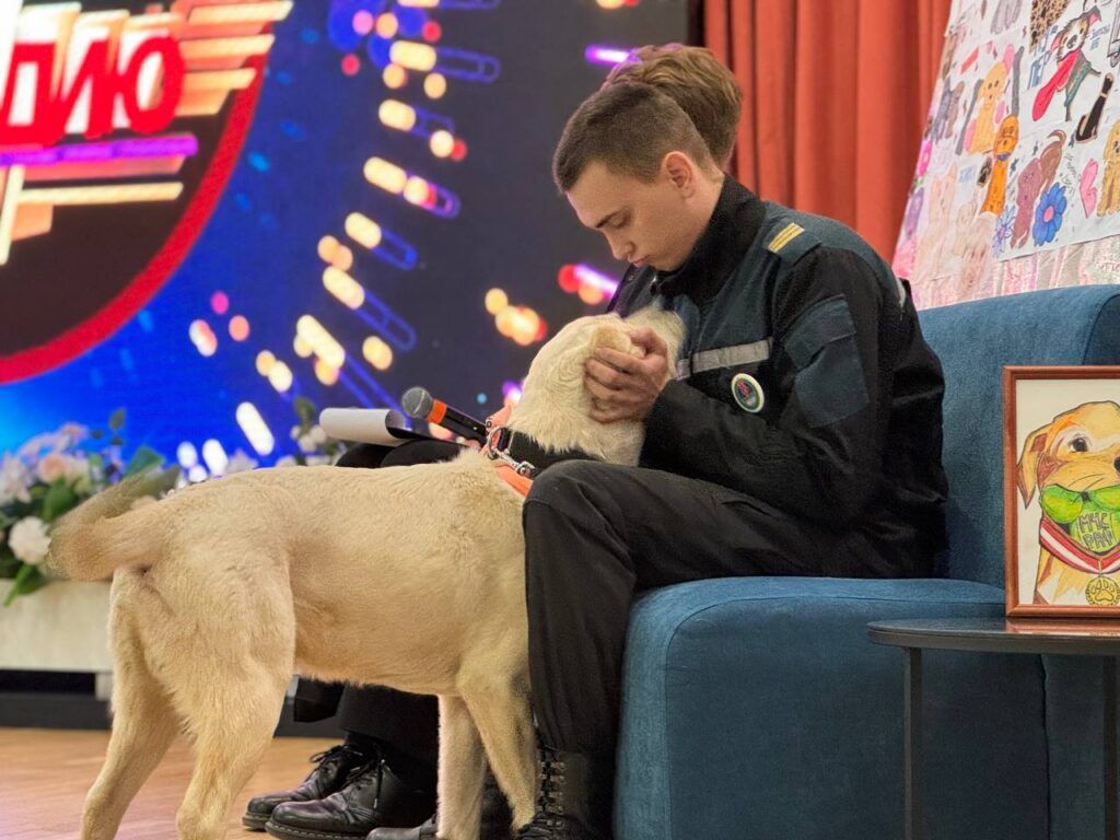 Лабрадоры-спасатели продемонстрировали навыки детям в «Зубренке»