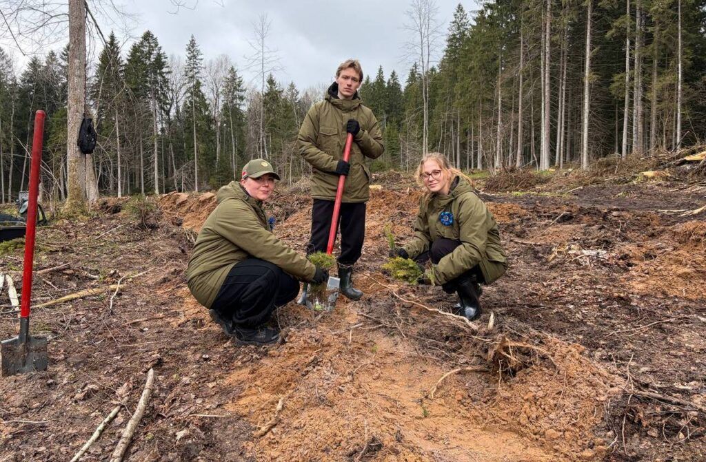 Сотрудники «Зубренка» сажали лес