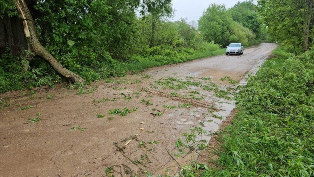 Спасатели распилили упавшее дерево в Мядельском районе