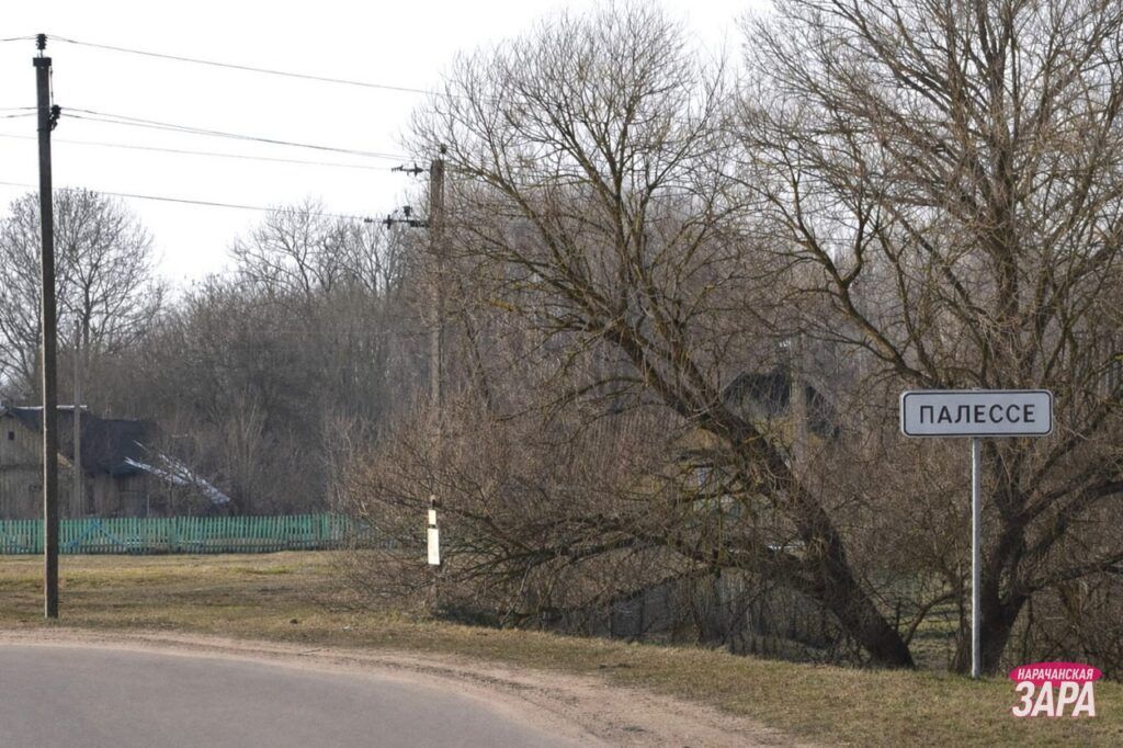 Объяснили планы по электросетям в деревне Полесье и поселке Будслав