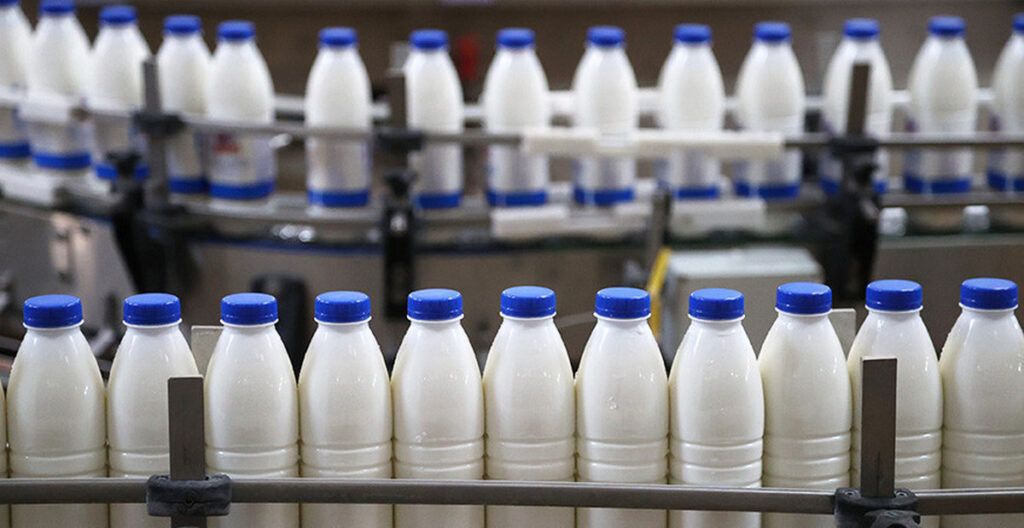 Госконтроль выявил посредников в закупках продуктов для школ и детсадов в Минской области