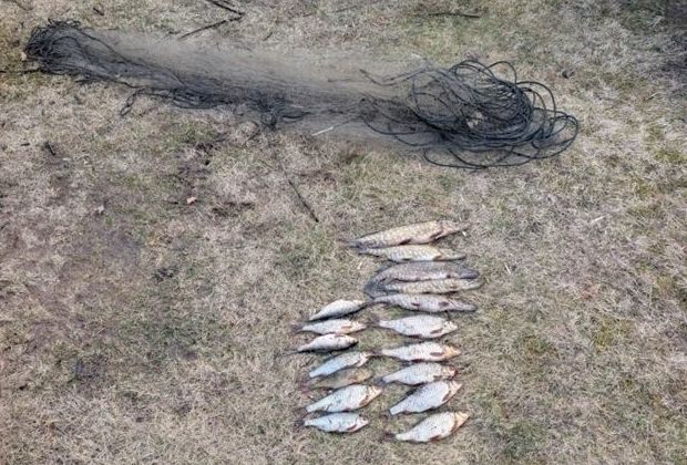 Жители Вилейского района заплатили более 2,5 тысяч рублей за незаконный вылов рыбы