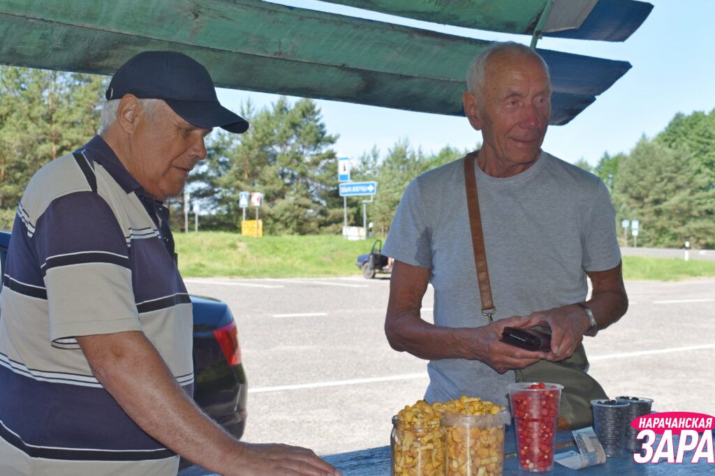 Узнали, почём на Мядельщине земляника и черника