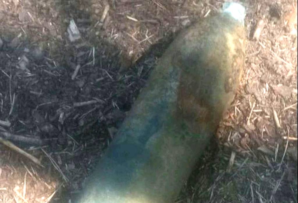Снаряд времен Первой мировой нашли возле озера Нарочь