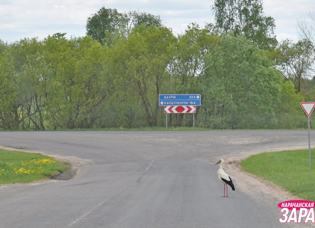 Составили рейтинг населённых пунктов Кривичского сельсовета по количеству жителей