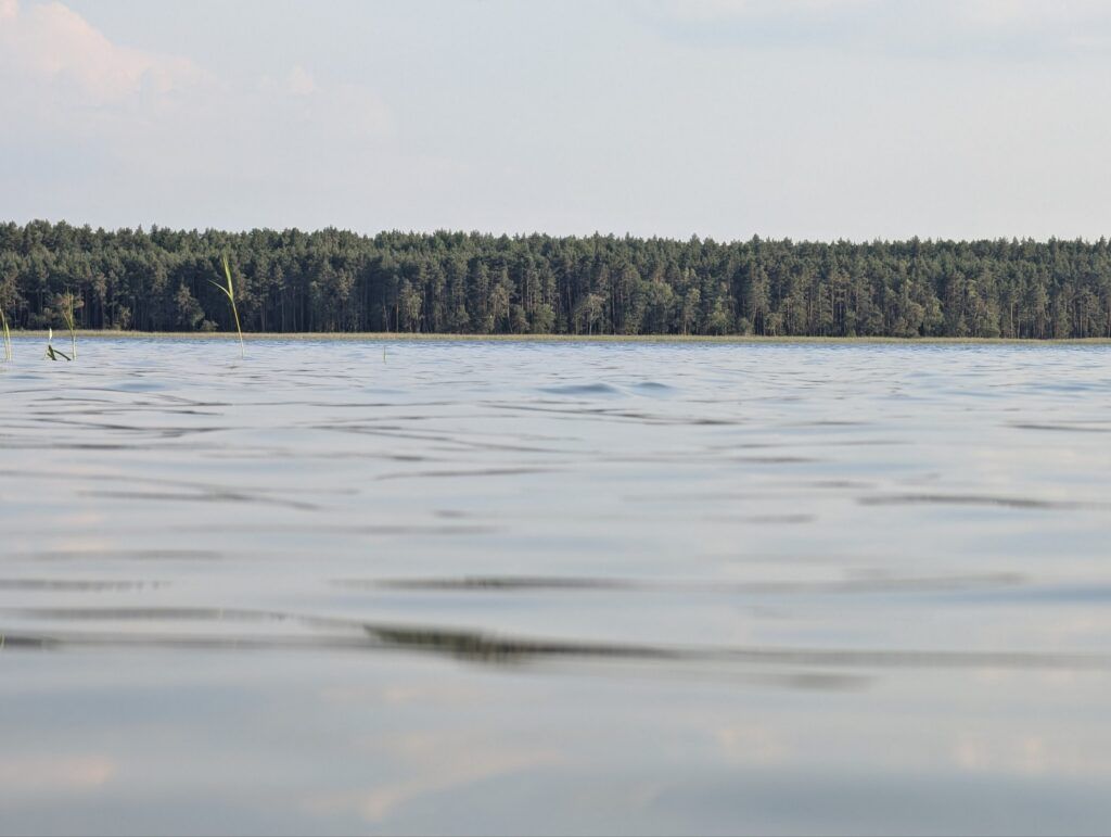 Аншлаг в понедельник: видео о переполненном пляже на озере Белом вызвало споры в сети 