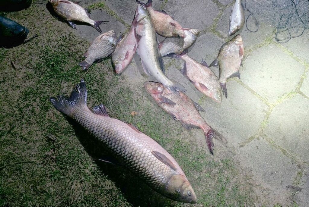 На Вилейском водохранилище задержали рыбака с сетями и уловом