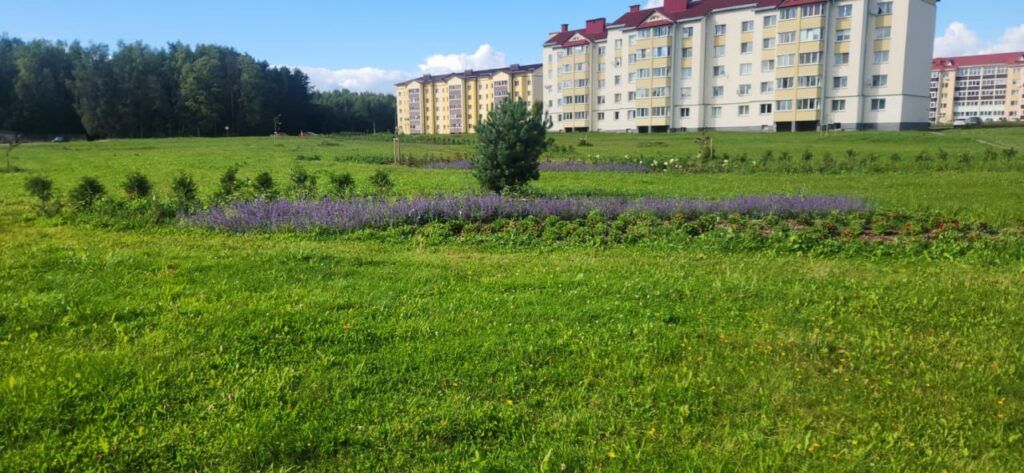 Цветник вместо пустыря в курортном поселке Нарочь: оригинальный концепт озвучили озеленители