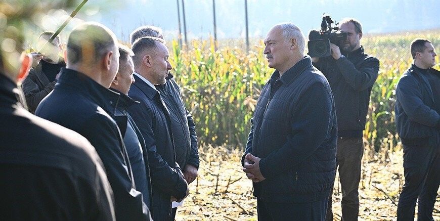 Лукашенко оценил ход эксперимента по улучшению плодородия почв в Минском районе