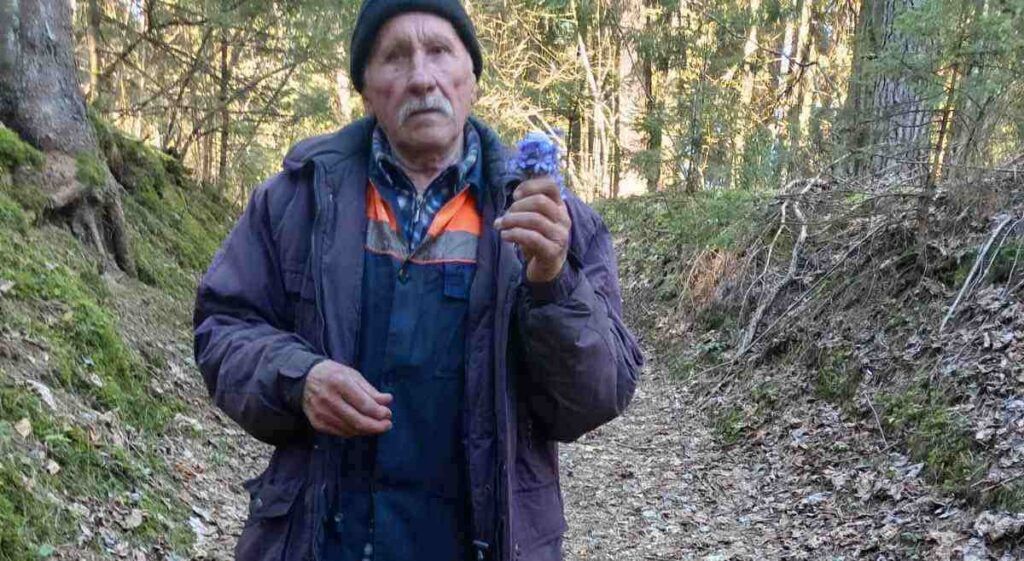 В Мядельском районе ищут пенсионера, ушедшего за грибами в лес